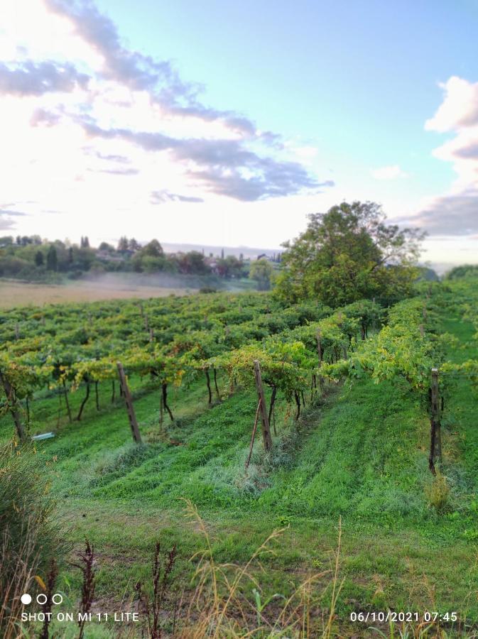 Agriturismo Al Dugale Lazise Extérieur photo